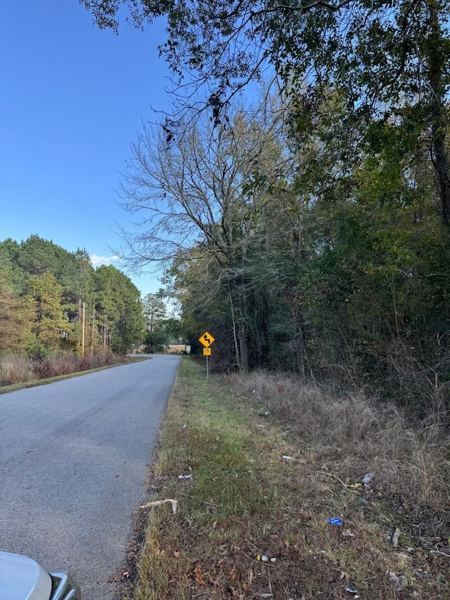 0 Felton St, Summerton, SC 29148 - photo 6