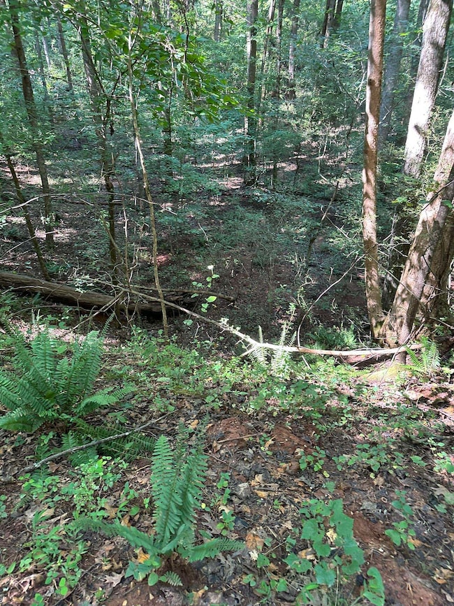 2470 Fears Rd, Madison, GA 30650 - photo 3