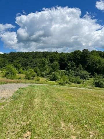 39 Sherman Hill Rd, Sidney, NY 13838 - photo 5