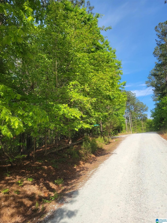 0 Lake Geneva Dr unit 25 21415570, Wedowee, AL 36278 - photo 3