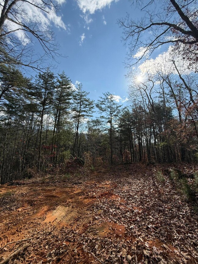 Lot 1 Parksville Rd, Benton, TN 37307 - photo 7