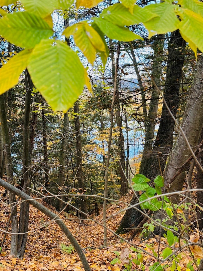 476 Missing Link Rd, Springfield, VT 05156 - photo 6