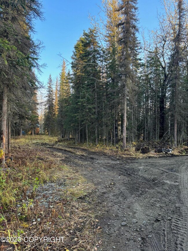 Driveway (3)