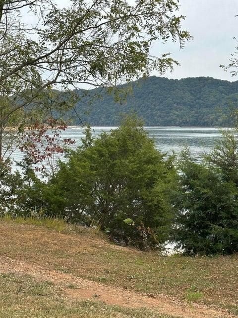 246 Boat Dock Rd, Mooresburg, TN 37811 - photo 2