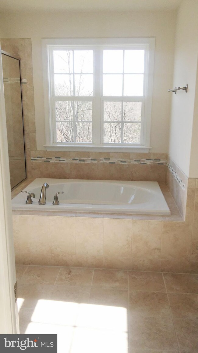 36 Orchid Ln, Stafford, VA 22554 - photo 5