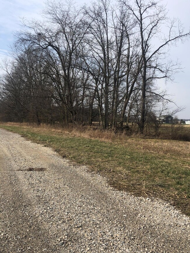 Entrance of Driveway