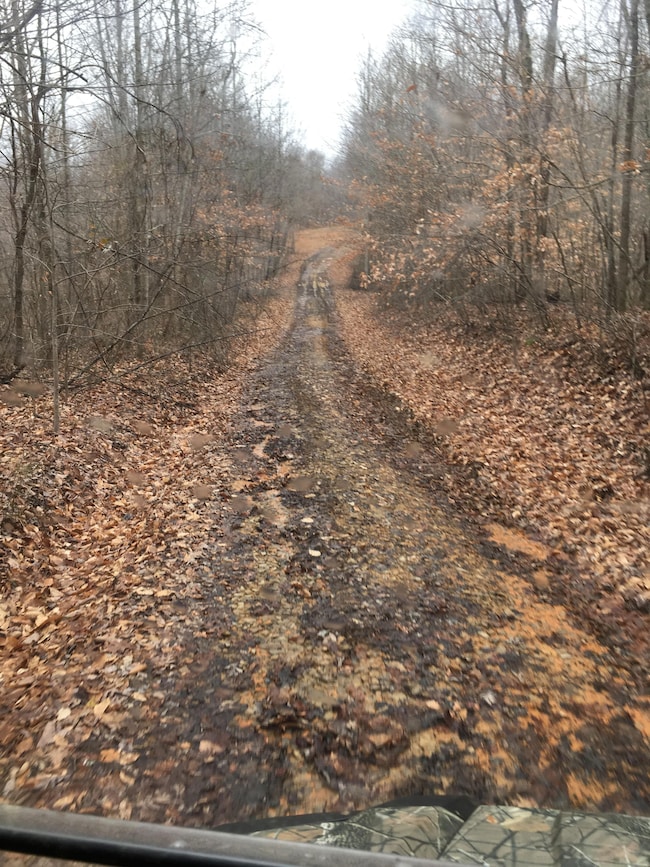 White Hill Rd, Breeding, KY 42717 - photo 3