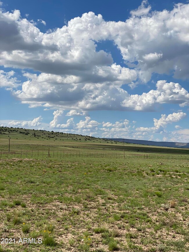 00 Markham Pass unit 1315, Seligman, AZ 86337 - photo 2