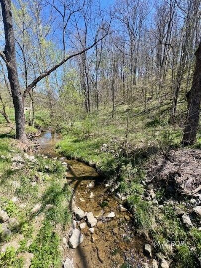 Stream on Property