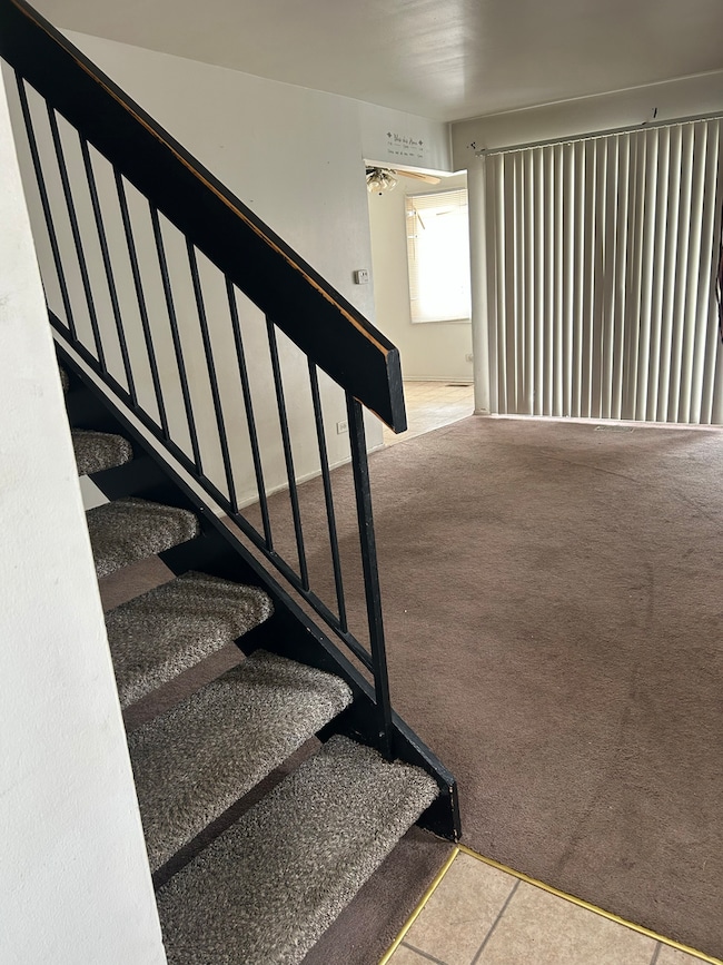 709 Spring Ct unit 5, University Park, IL 60484 - photo 3