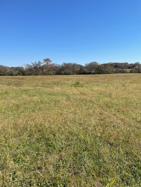 0 Old Nashville Dirt Rd, Shelbyville, TN 37160 - photo 2