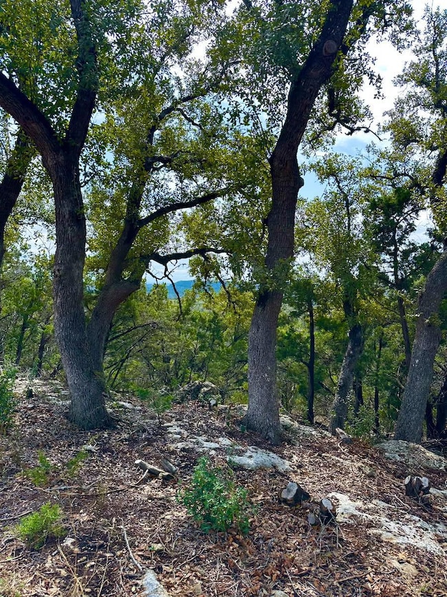 View of local wilderness