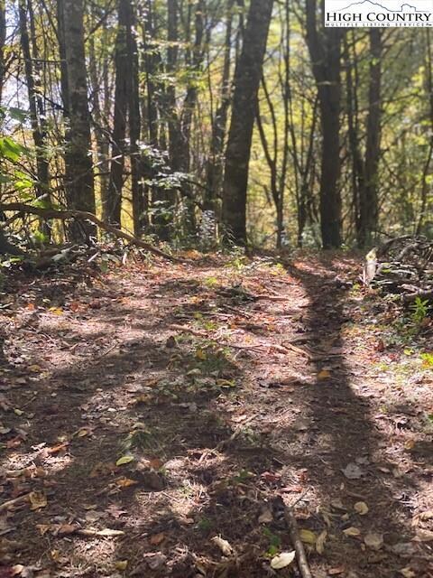 Nice ATV road down to the bottom onto Klink Trail