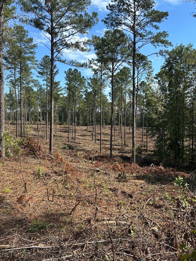 0 Seven Islands Rd unit 22542831, Madison, GA 30650 - photo 6