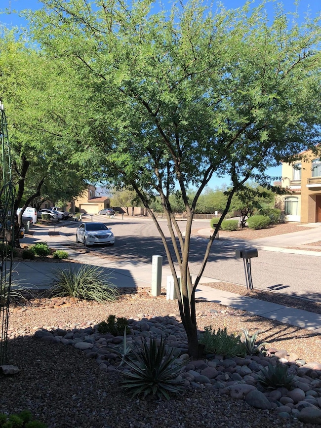 6136 N Placita San Agustin, Tucson, AZ 85741 - photo 5