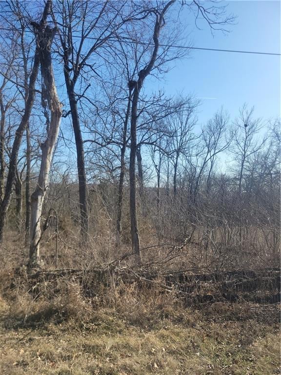 102 Maple Dr, Linn Valley, KS 66040 - photo 4