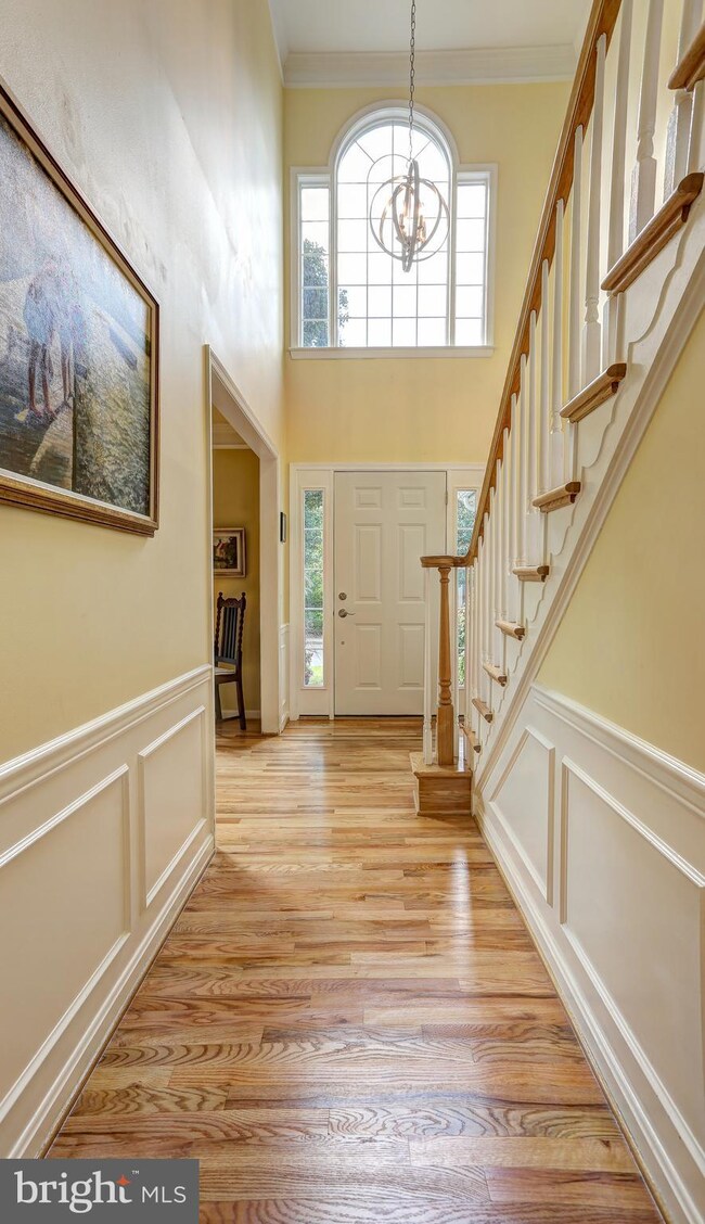 3528 Forest Haven Dr, Laurel, MD 20724 - photo 4