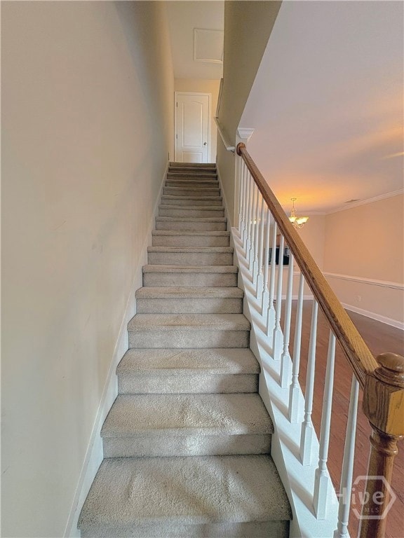 135 Oconee River Cir, Athens, GA 30605 - photo 7