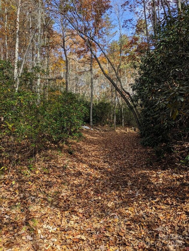 00 Sutton Branch Rd, Sylva, NC 28779 - photo 6