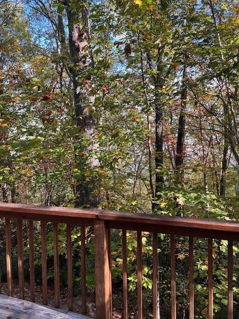 unlisted-address, Whittier, NC 28789 - photo 5