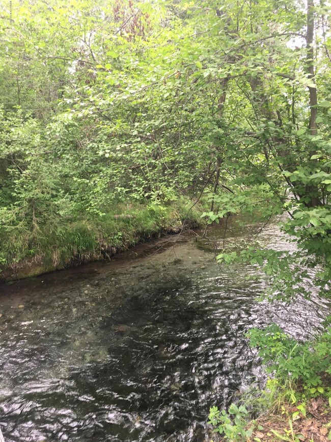 4585 S McKechnie Loop, Butte, AK 99645 - photo 3