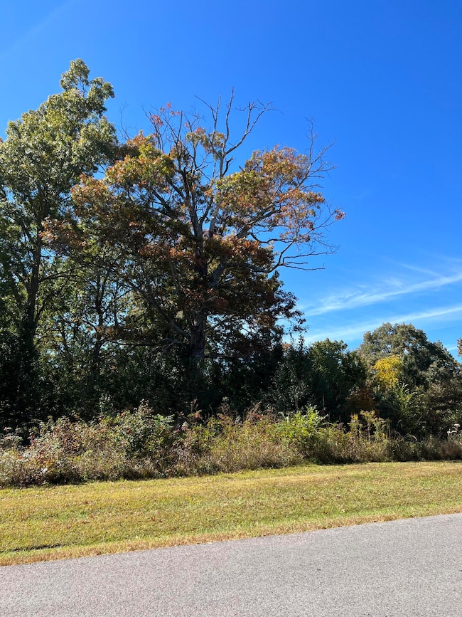 1012 Ridley Dr, Crossville, TN 38572 - photo 2