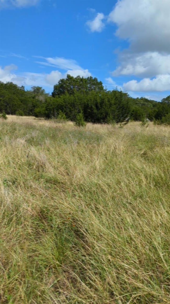 757 Rabbit Rd, Wimberley, TX 78676 - photo 3