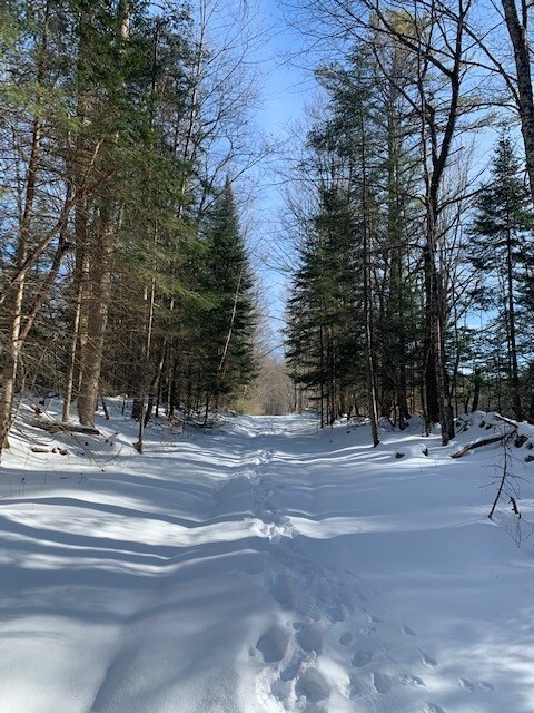 LOT 4 Lyman Rd, Lyman, NH 03585 - photo 5