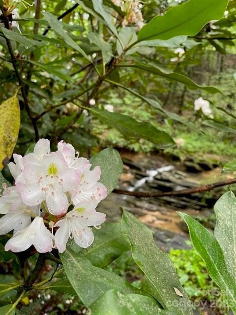 1046 Manchester Dr, Shelby, NC 28152 - photo 2