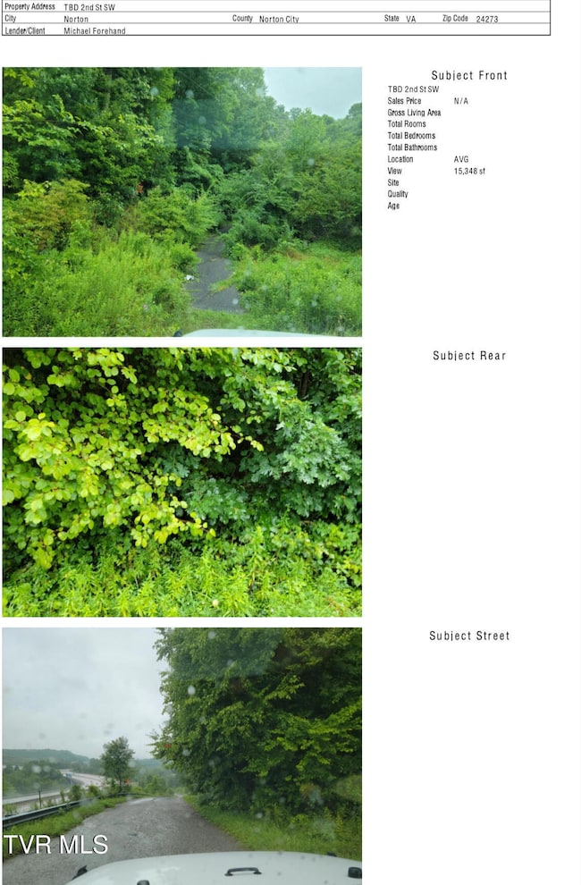 103 Locust Ave SW, Norton, VA 24273 - photo 6