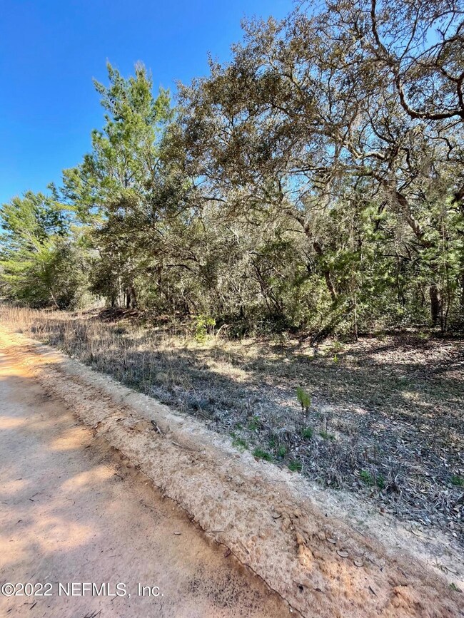 0 Usina unit 1159344, Interlachen, FL 32148 - photo 2