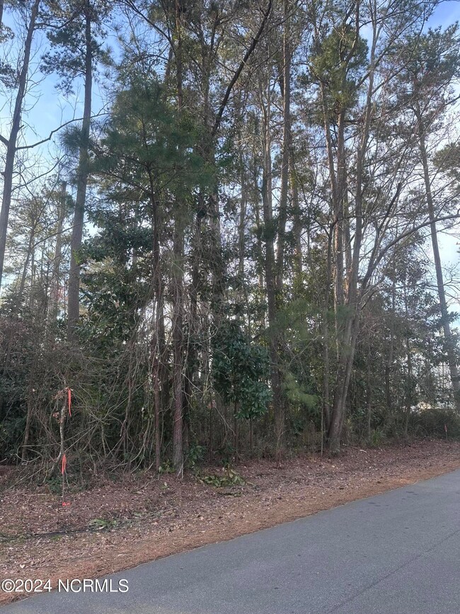 0 N Lloyd St, Burgaw, NC 28425 - photo 2