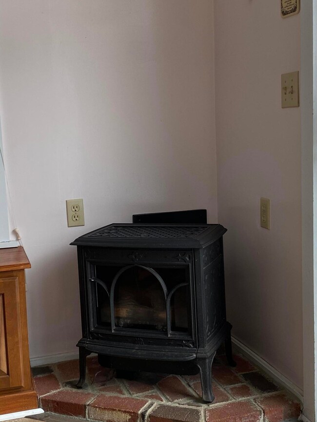 Propane Stove in Sun Room