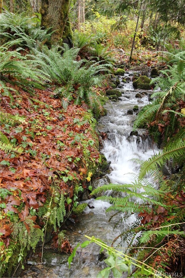 21104 Lake Riley Rd, Arlington, WA 98223 - photo 6