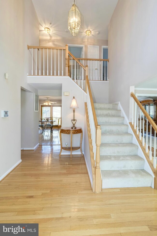 3 New Brunswick Ct, Stafford, VA 22554 - photo 5