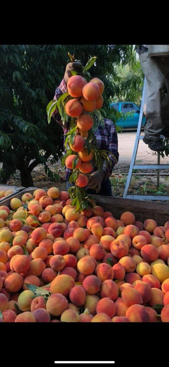 0 Cressey Way unit 225149739, Cressey, CA 95334 - photo 2