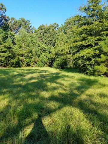 36 Clifton Seal Rd, Picayune, MS 39466 - photo 6