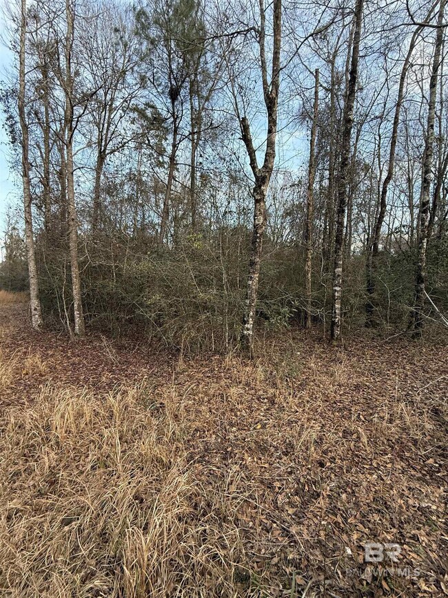 0 Harmon Williams Rd unit 374119, Mobile, AL 36608 - photo 6