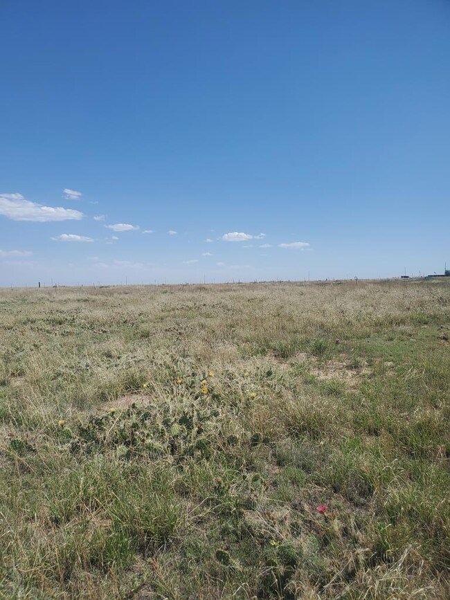 7, 8, 9 Dodge Rd unit 7-9, Hasty, CO 81044 - photo 2