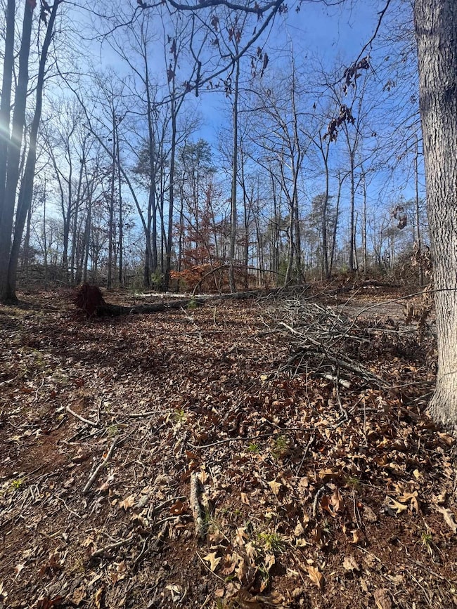 1281 Riveroak Rd, Inman, SC 29349 - photo 6