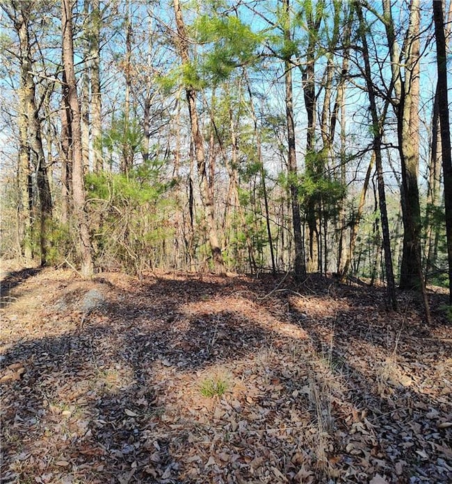View of local wilderness featuring a forest view