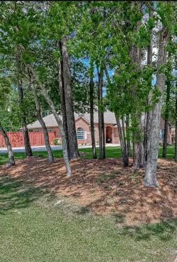 403 Monarch Oak Dr, Magnolia, TX 77354 - photo 4