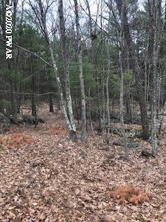 0 738 739 740 Tink Wig Dr, Lackawaxen, PA 18435 - photo 2