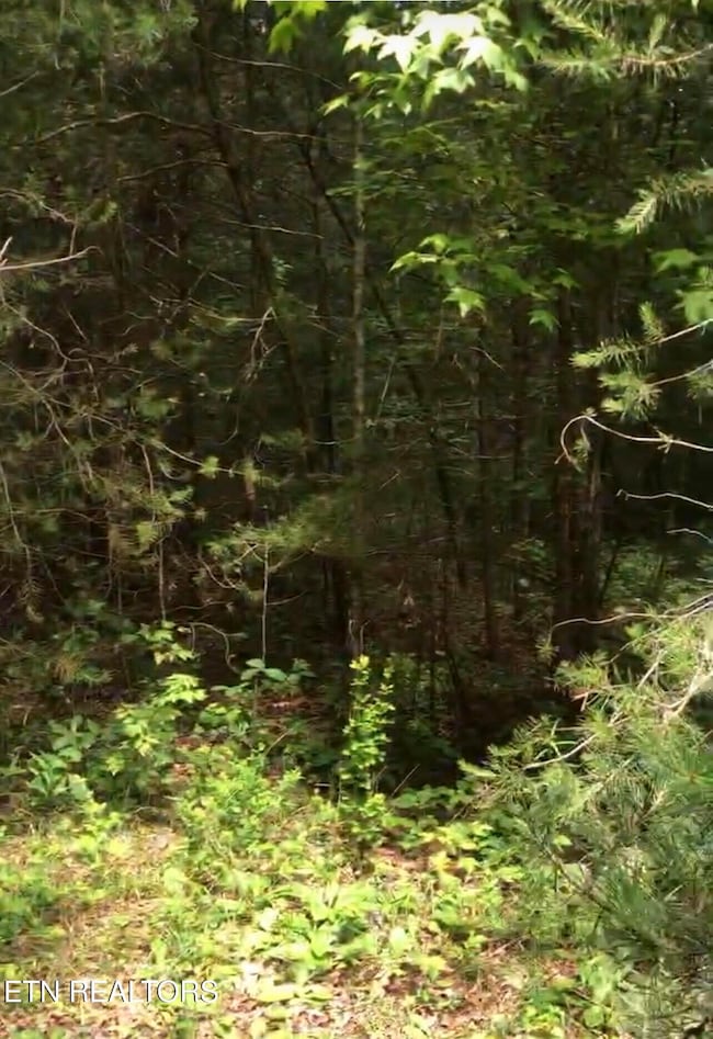 14 Clear Fork Dr, Jamestown, TN 38556 - photo 2