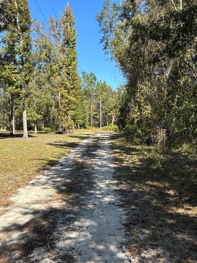 Lot 1 SE 843rd St, Old Town, FL 32680 - photo 3