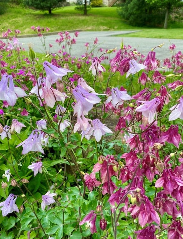 1004 Park Place Ln unit 1004, Canonsburg, PA 15317 - photo 7