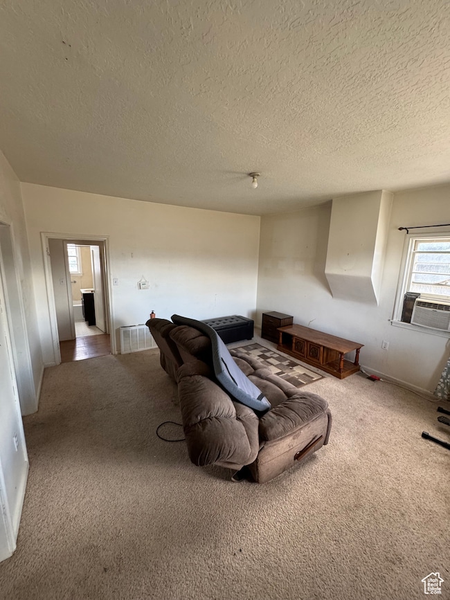 Living area featuring carpet and a textured ceiling