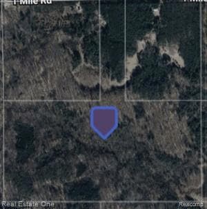 V/L 1 Mile Rd, Ellsworth Township, MI 49655 - photo 5