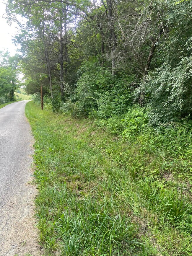 0 Wish Rd 8 55 Acres unit 614746, California, KY 41007 - photo 4