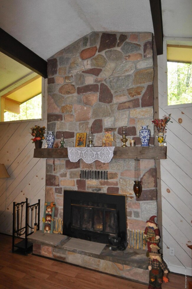 20 Rhododendron Rd, Jim Thorpe, PA 18229 - photo 4